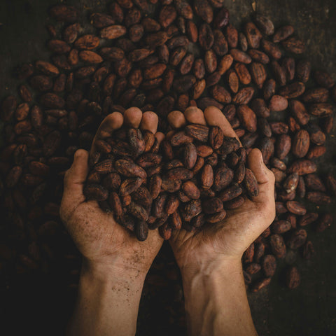 Cacao